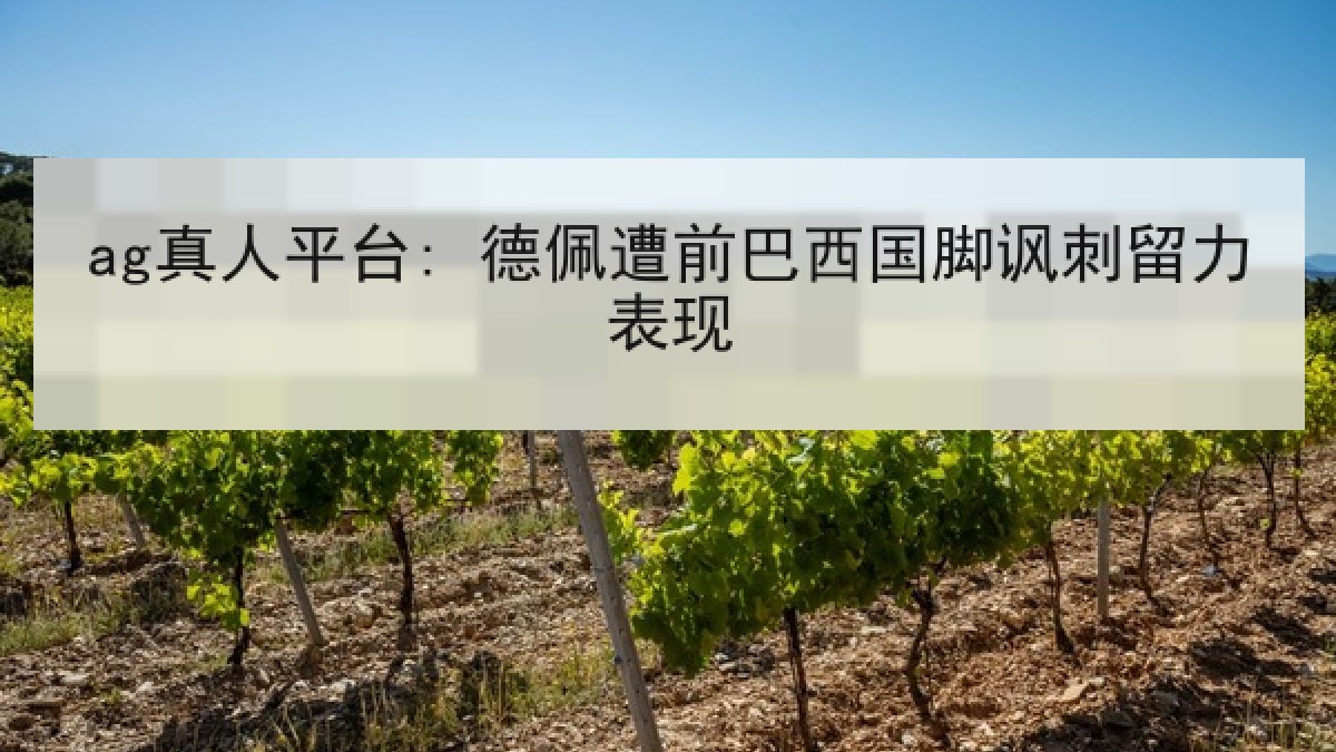 ag真人平台: 德佩遭前巴西国脚讽刺留力表现