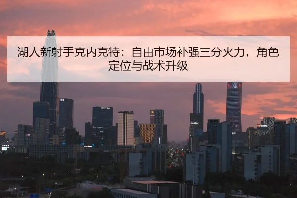 湖人新射手克内克特：自由市场补强三分火力，角色定位与战术升级