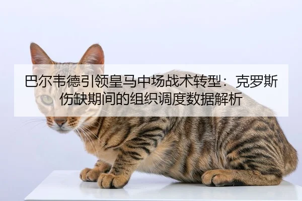 巴尔韦德引领皇马中场战术转型：克罗斯伤缺期间的组织调度数据解析