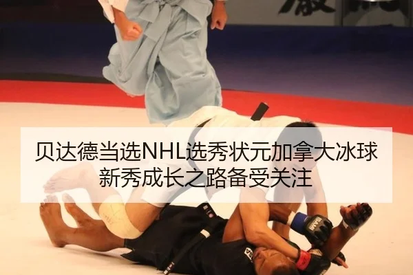 bei-da-de-dang-xuan-xuan-xiu-zhuang-yuan-jia-na-da-bing-qiu-xin-xiu-cheng-zhang-zhi-lu-bei-shou-guan-zhu-3-432.jpg