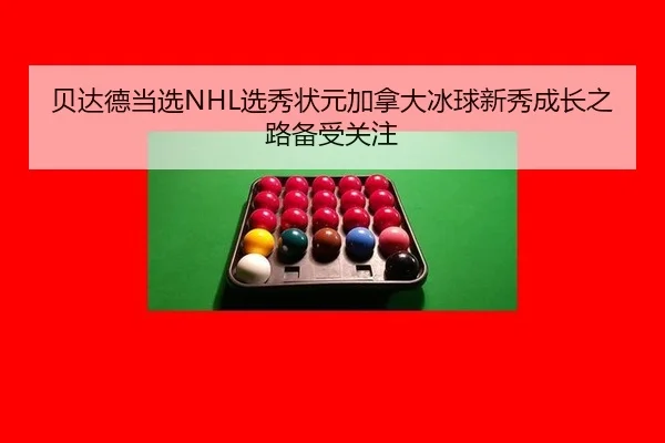 贝达德当选NHL选秀状元加拿大冰球新秀成长之路备受关注