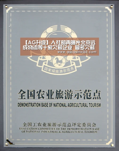 AG升级